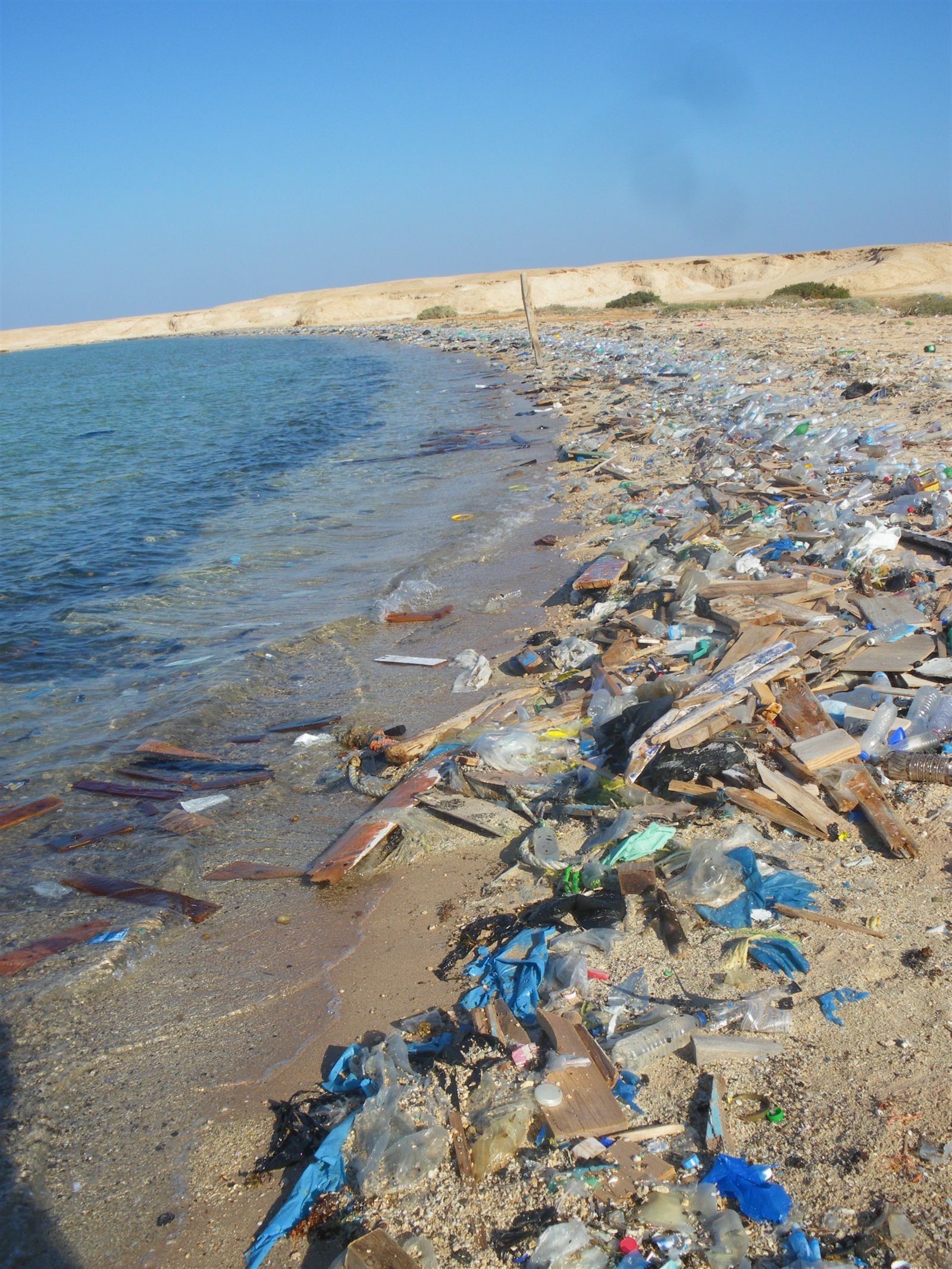 Single-use plastic waste